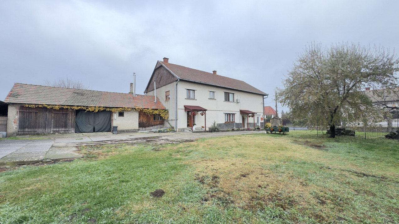 Casă 7 camere cu Teren 4.620 mp | Potențial pentru rezidență sau afacere | Carei