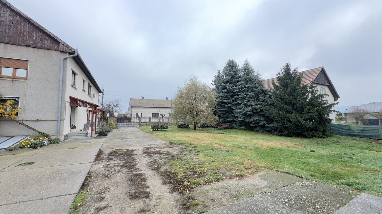 Casă 7 camere cu Teren 4.620 mp | Potențial pentru rezidență sau afacere | Carei