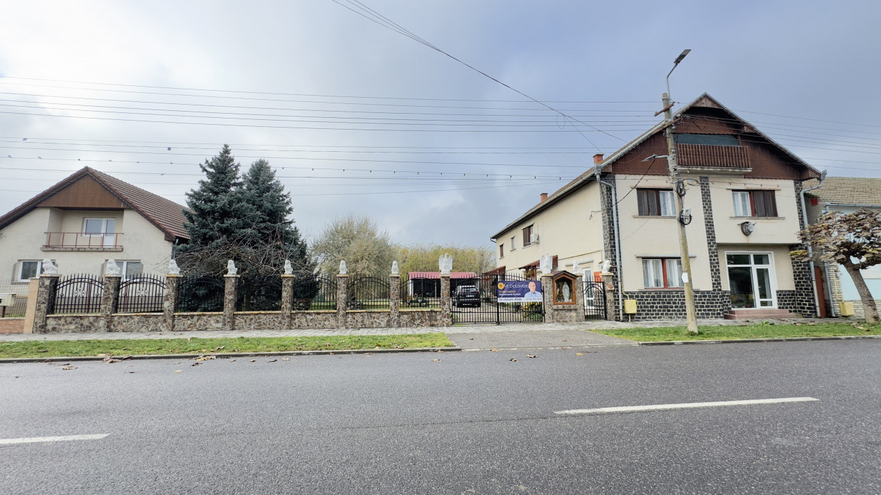 Casă 7 camere cu Teren 4.620 mp | Potențial pentru rezidență sau afacere | Carei