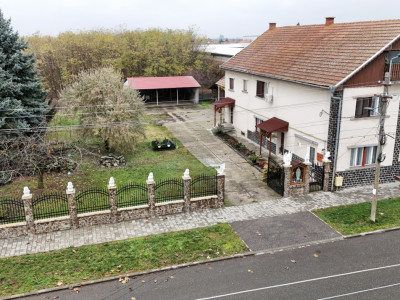 Casă 7 camere cu Teren 4.620 mp | Potențial pentru rezidență sau afacere | Carei