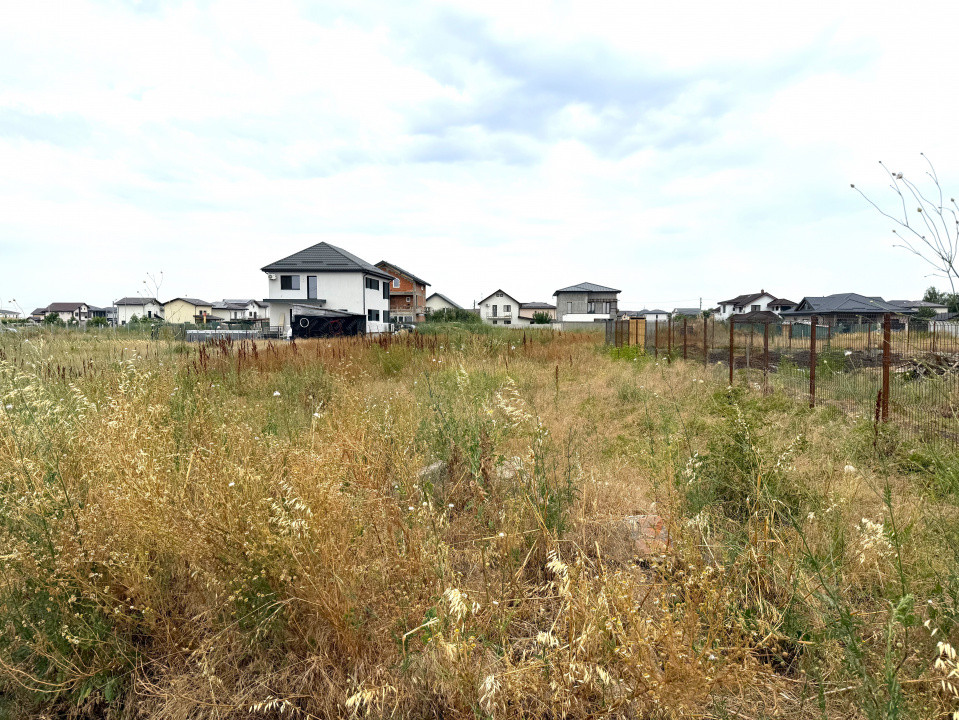 Teren Intravilan pe Strada Bega/Com. Berceni – Locația Perfectă pentru Casa Ta