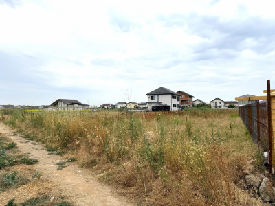 Teren Intravilan pe Strada Bega/Com. Berceni – Locația Perfectă pentru Casa Ta