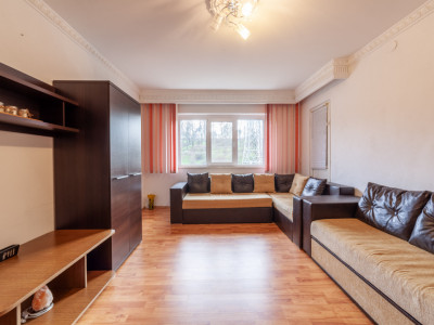 Mioveni, 2 camere, 50mp, decomandat, acces imediat catre Uzina Dacia