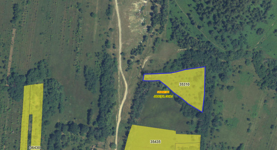 Teren extravilan de vânzare – Stănești, 3.861 mp, livadă de cireși