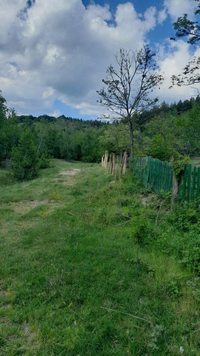 Teren extravilan de vânzare – Stănești, 3.861 mp, livadă de cireși