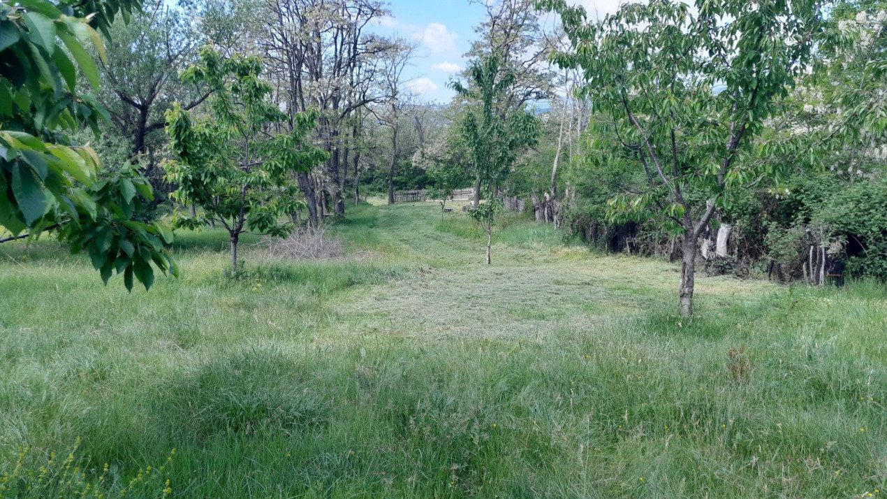 Teren extravilan de vânzare – Stănești, 3.861 mp, livadă de cireși