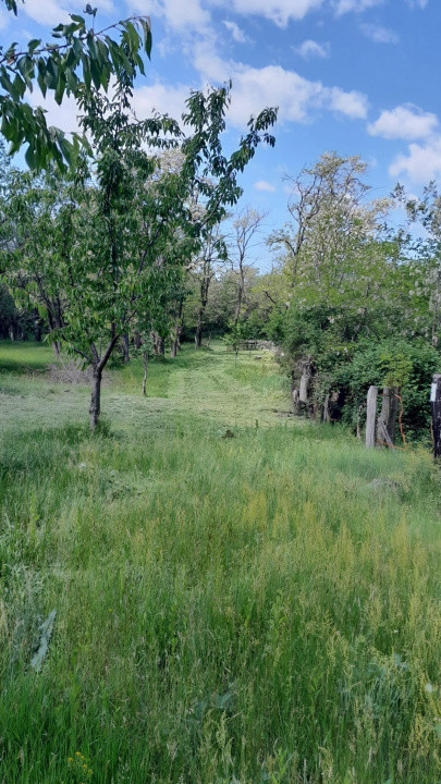 Teren extravilan de vânzare – Stănești, 3.861 mp, livadă de cireși