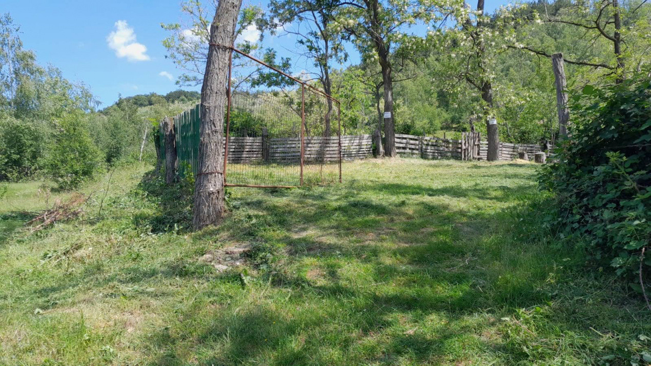 Teren extravilan de vânzare – Stănești, 3.861 mp, livadă de cireși