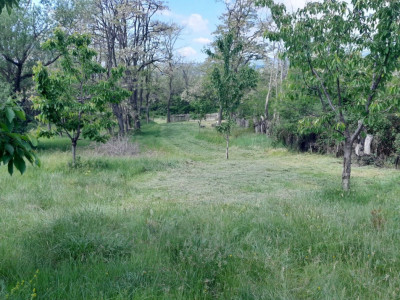 Inchiriere casa Bradu mobilata si utilata - Comision 0%