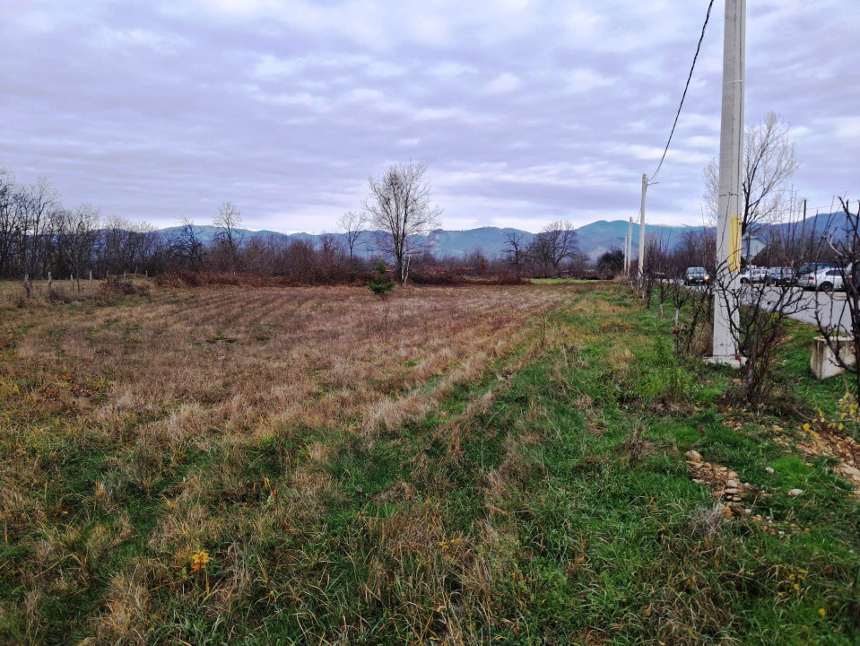 TEREN INTRAVILAN POLOVRAGI