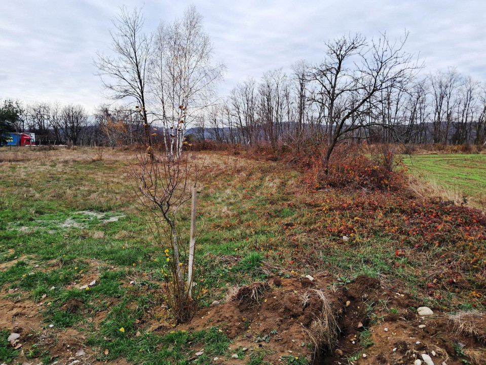 TEREN INTRAVILAN POLOVRAGI