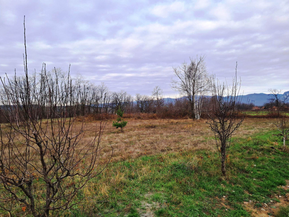 TEREN INTRAVILAN POLOVRAGI