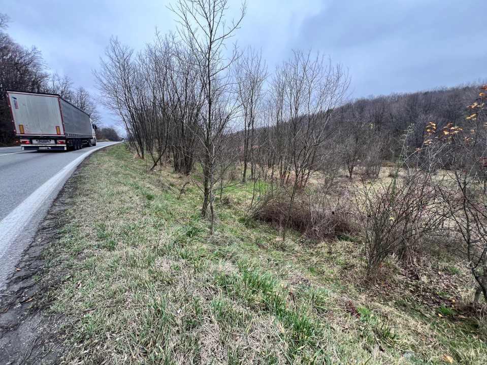 Teren intravilan 6.500 m²–Deschidere 144 ml drum european E81, km 35, Morăresti