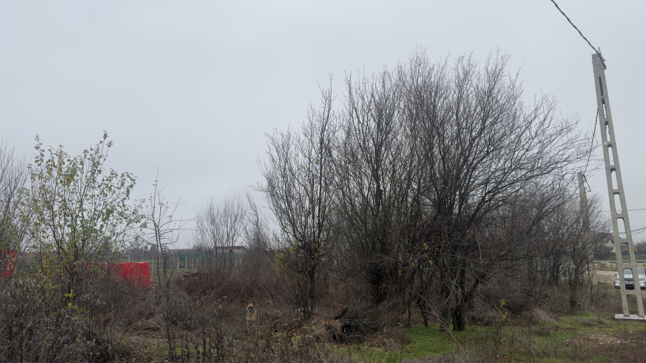 Teren de 533 mp - 10 min de Pitesti-Albota Argeș!