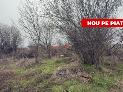 Teren de 533 mp - 10 min de Pitesti-Albota Argeș!