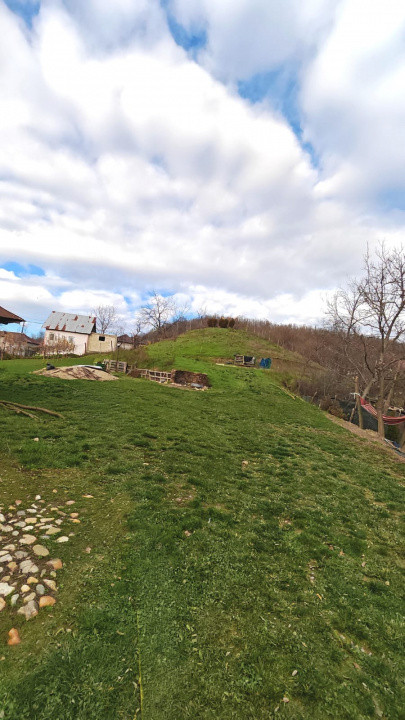 Teren generos cu casa veche si priveliste spre padure – Mioveni, zona Faget