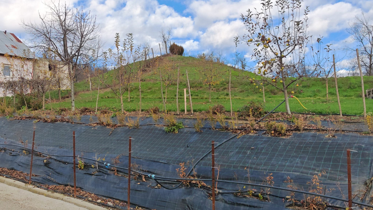 Teren intravilan de 1665 mp cu priveliste spre padure – Mioveni, zona Faget