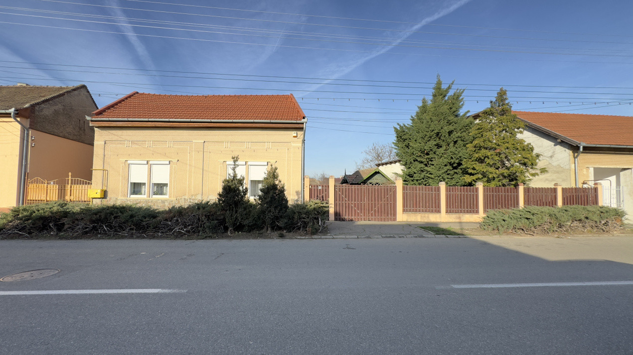 Casă 4 camere cu Teren 2.974 mp | Rezidență sau afacere | Carei