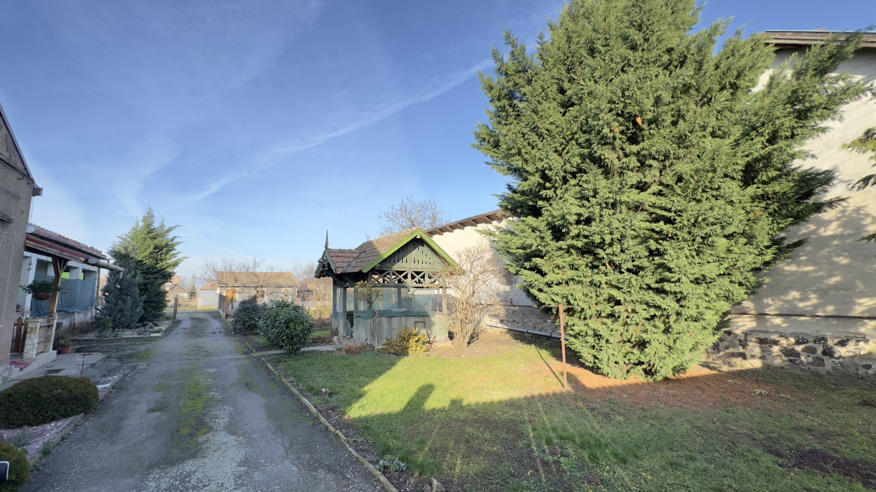 Casă 4 camere cu Teren 2.974 mp | Rezidență sau afacere | Carei