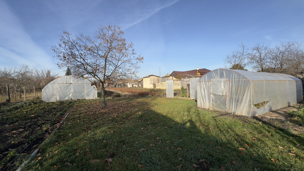 Casă 4 camere cu Teren 2.974 mp | Rezidență sau afacere | Carei