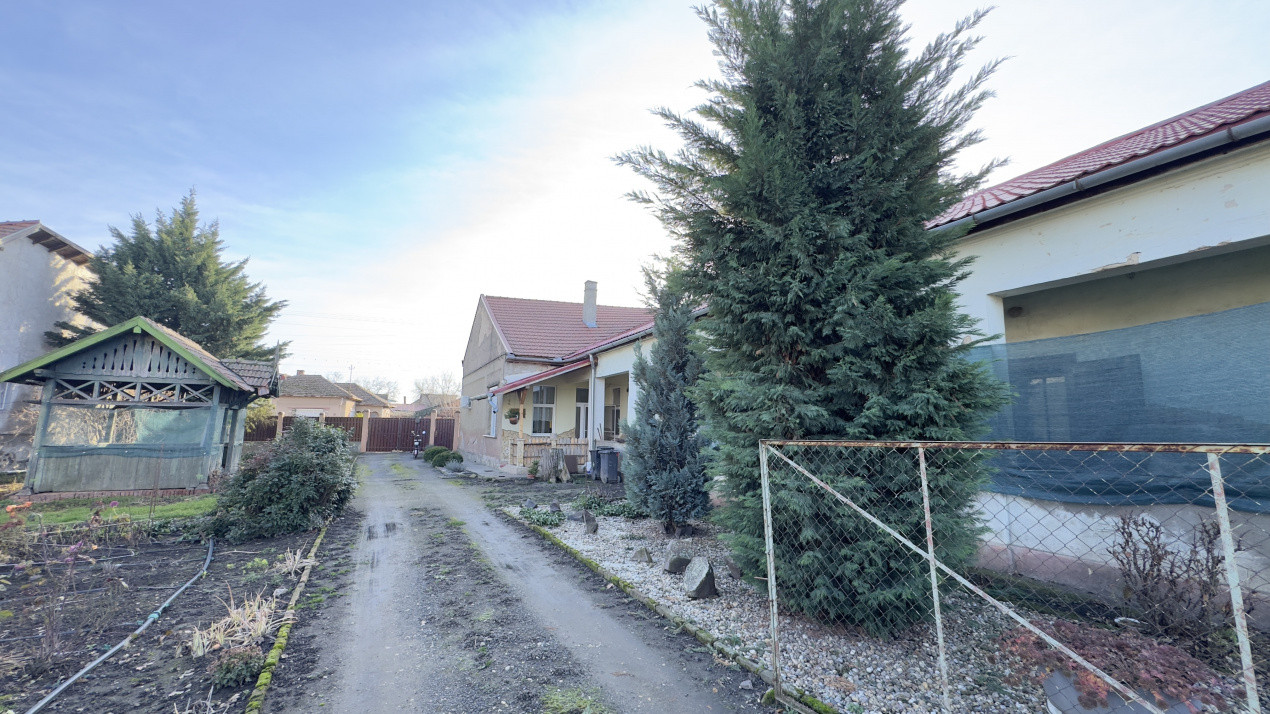 Casă 4 camere cu Teren 2.974 mp | Rezidență sau afacere | Carei