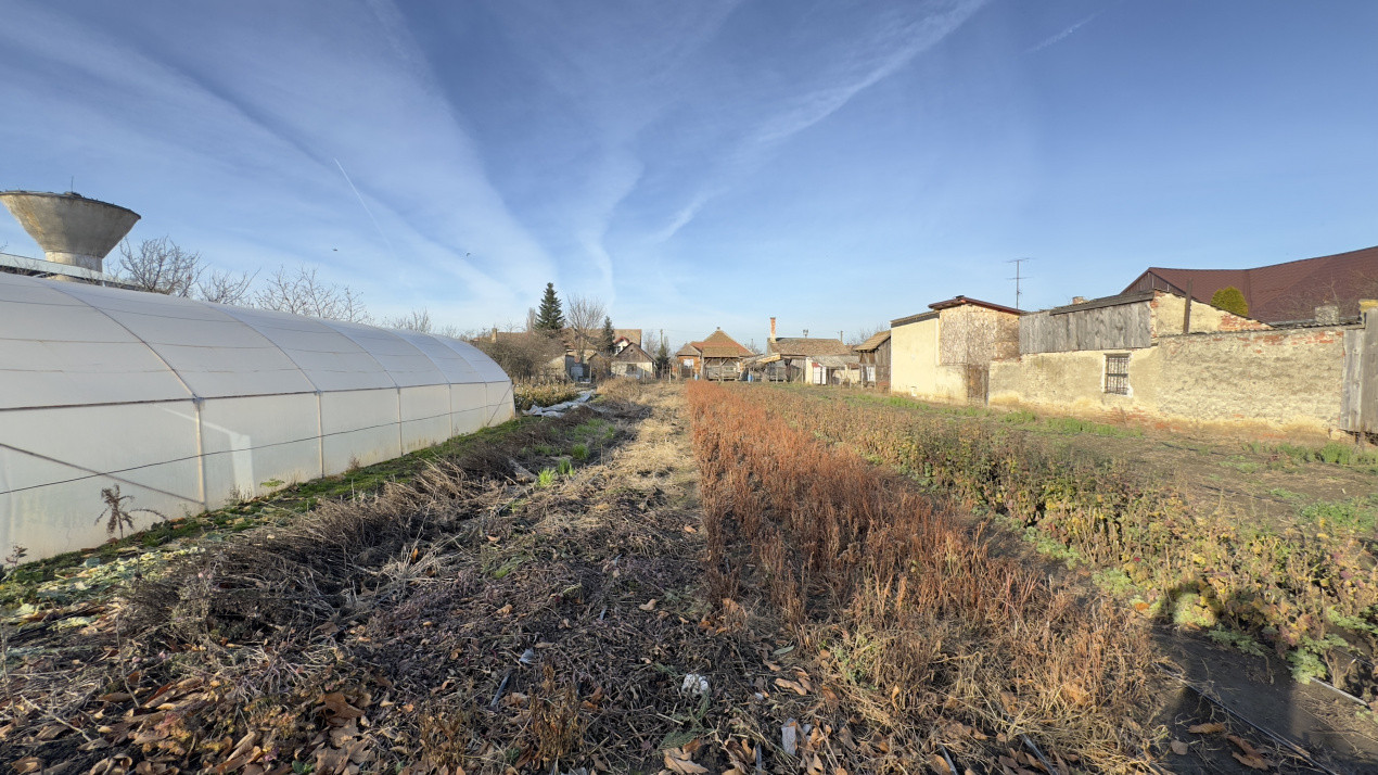 Casă 4 camere cu Teren 2.974 mp | Rezidență sau afacere | Carei