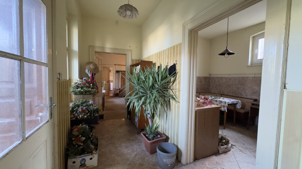 Casă 4 camere cu Teren 2.974 mp | Rezidență sau afacere | Carei