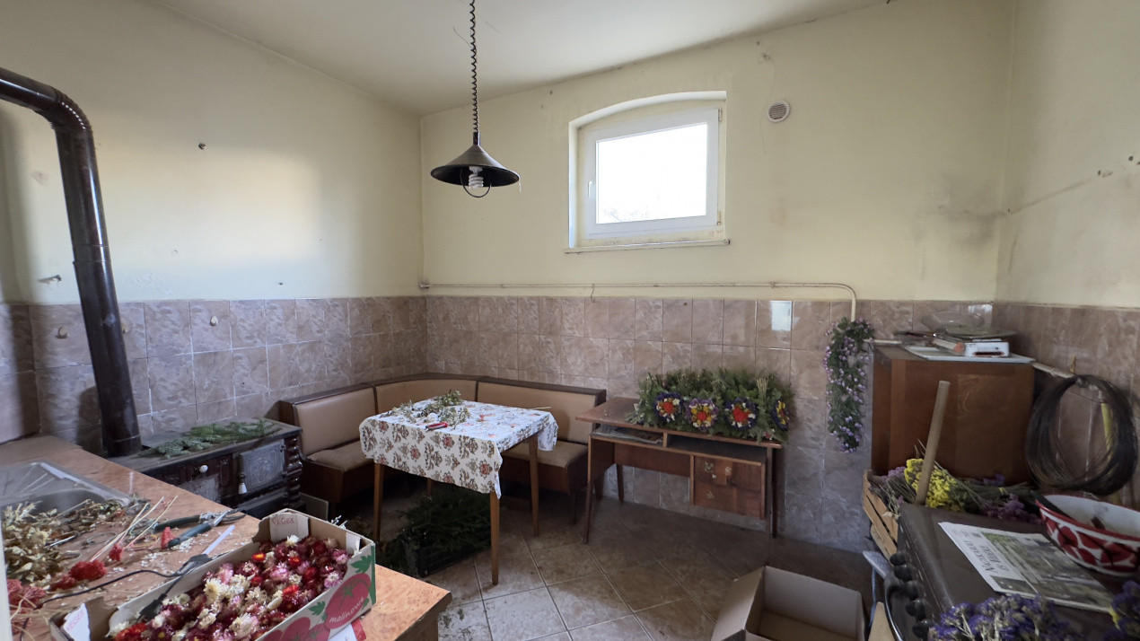 Casă 4 camere cu Teren 2.974 mp | Rezidență sau afacere | Carei