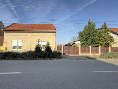 Casă 4 camere cu Teren 2.974 mp | Rezidență sau afacere | Carei