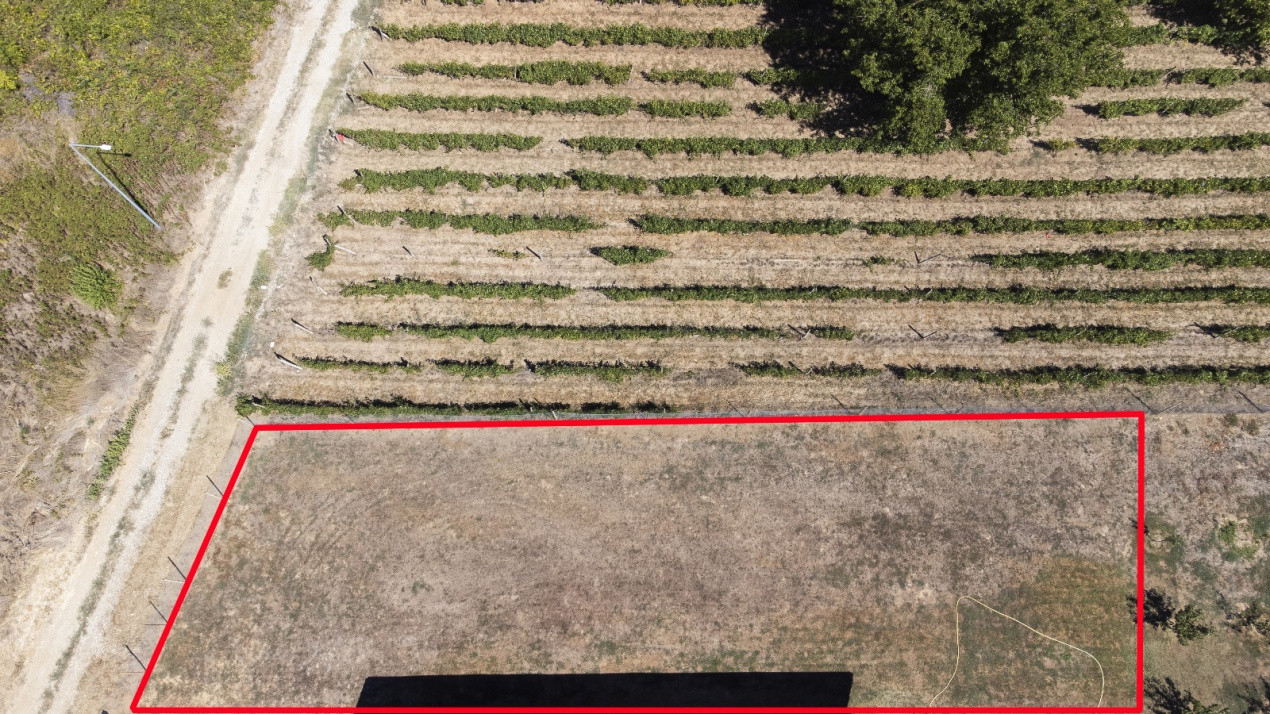 Teren de vanzare intravilan Pelendava,500 mp, toate utilitatile