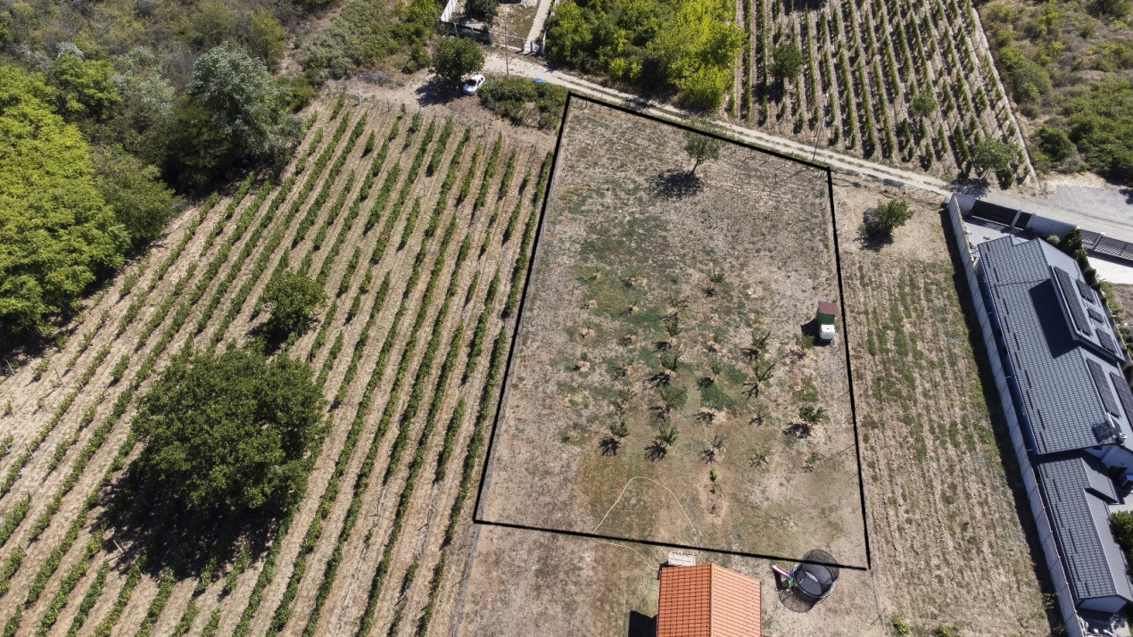 Oportunitate dezvoltare rezidentiala – teren 2000 mp intravilan