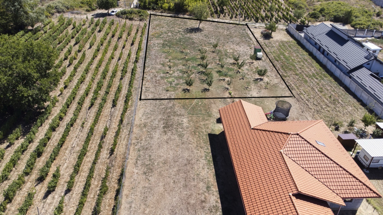 Oportunitate dezvoltare rezidentiala – teren 2000 mp intravilan