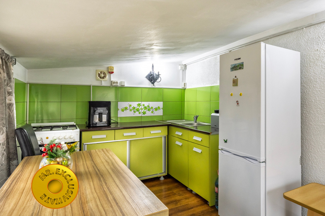 Doua case in aceeasi curte Pitesti, Strada Turcesti