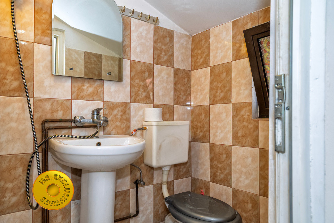 Doua case in aceeasi curte Pitesti, Strada Turcesti