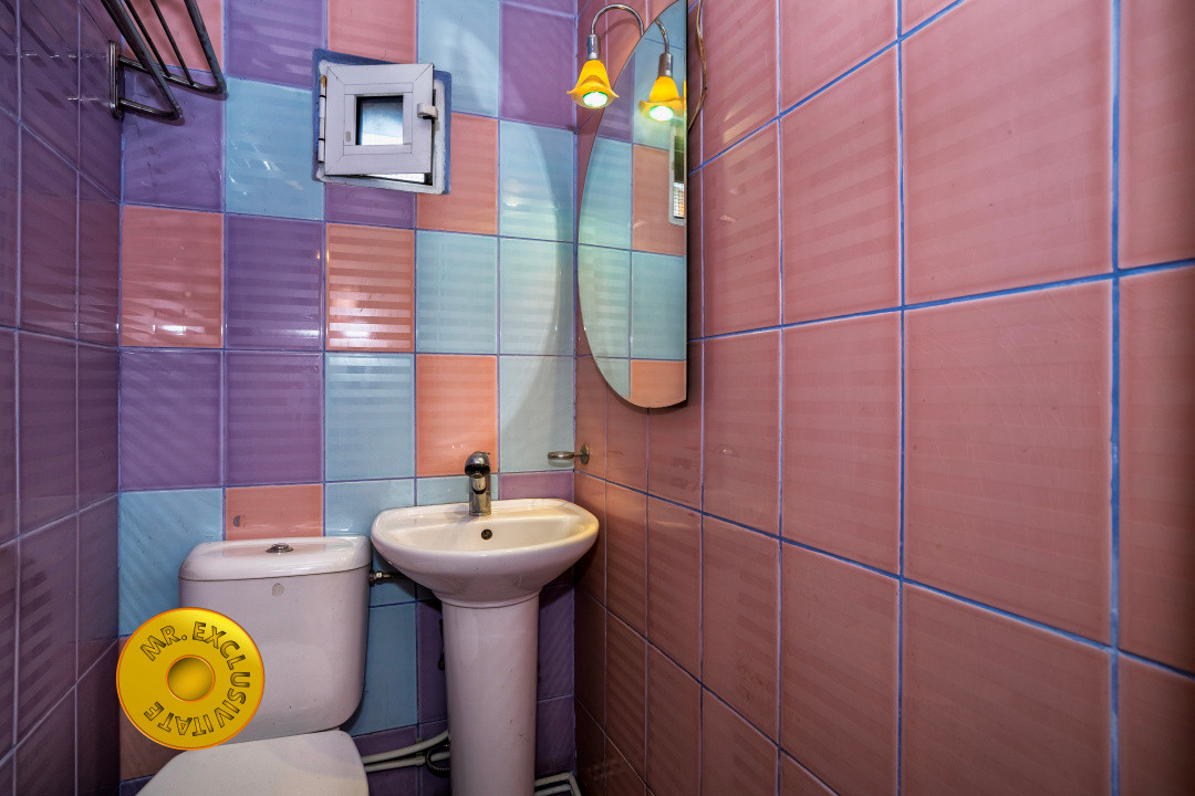 Doua case in aceeasi curte Pitesti, Strada Turcesti