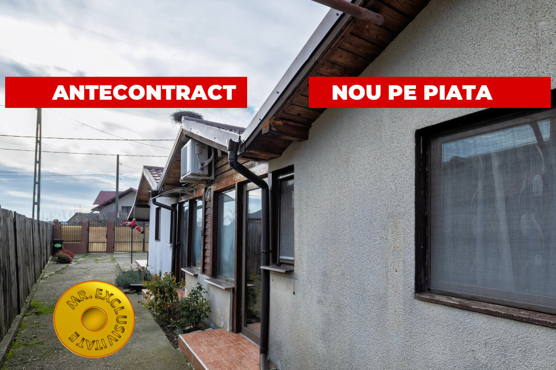 Doua case in aceeasi curte Pitesti, Strada Turcesti