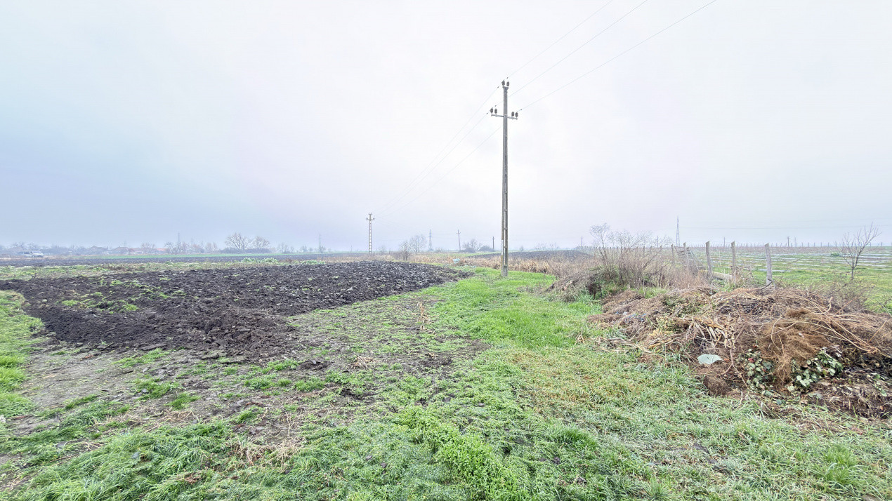 Terenuri intravilane 4.454 mp Drum DN 1F - Loc. Ghenci - Jud. Satu Mare