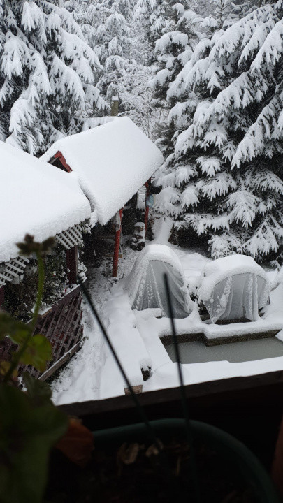 Casa spatioasa langa Belis-zona turistica, curte mare,ciubar