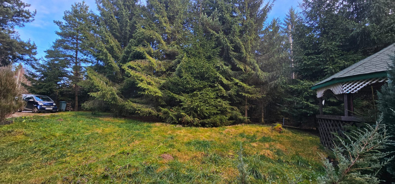 Casa spatioasa langa Belis-zona turistica, curte mare,ciubar