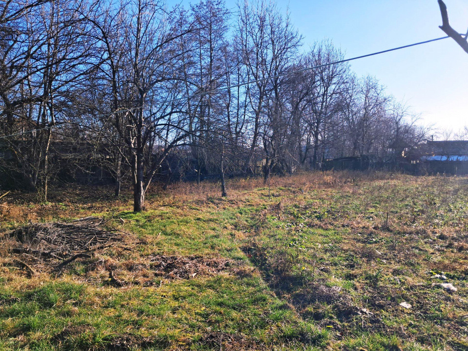 Casă și teren de vânzare Polovragi