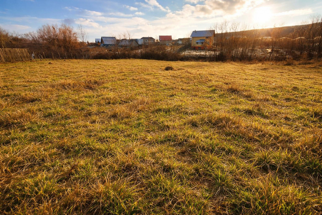 Teren 1262 m2 intravilan Smeura Stoenari 