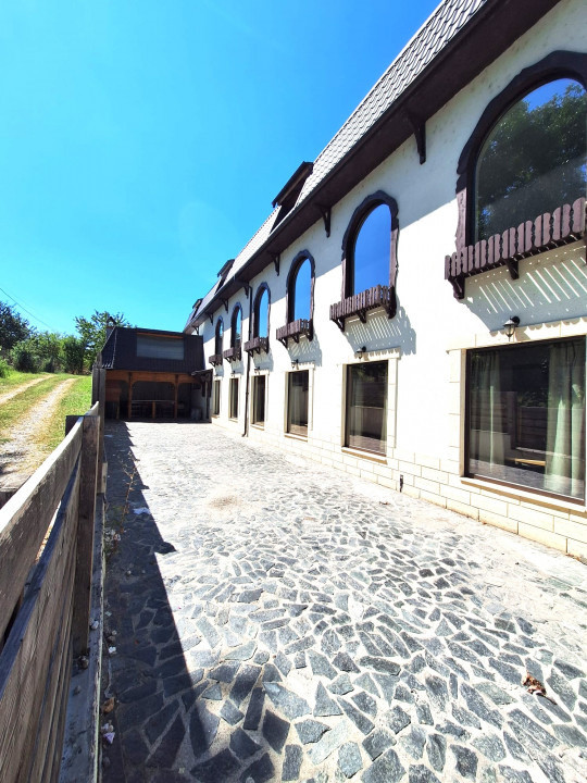 Oportunitate-Clădire comercială HoReCa in Domnesti-Arges