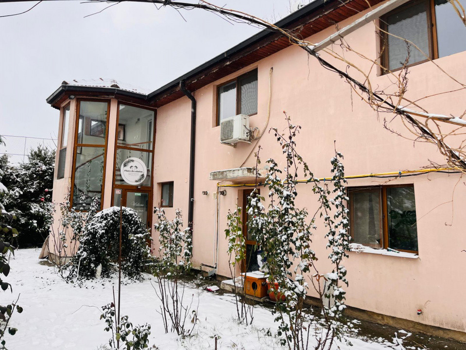 Spatiu comercial/de birouri elegant pentru afacerea ta, Brestei-zona Obedeanu