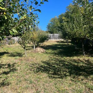 Teren intravilan Darmanesti, 17 metri deschidere la drum principal