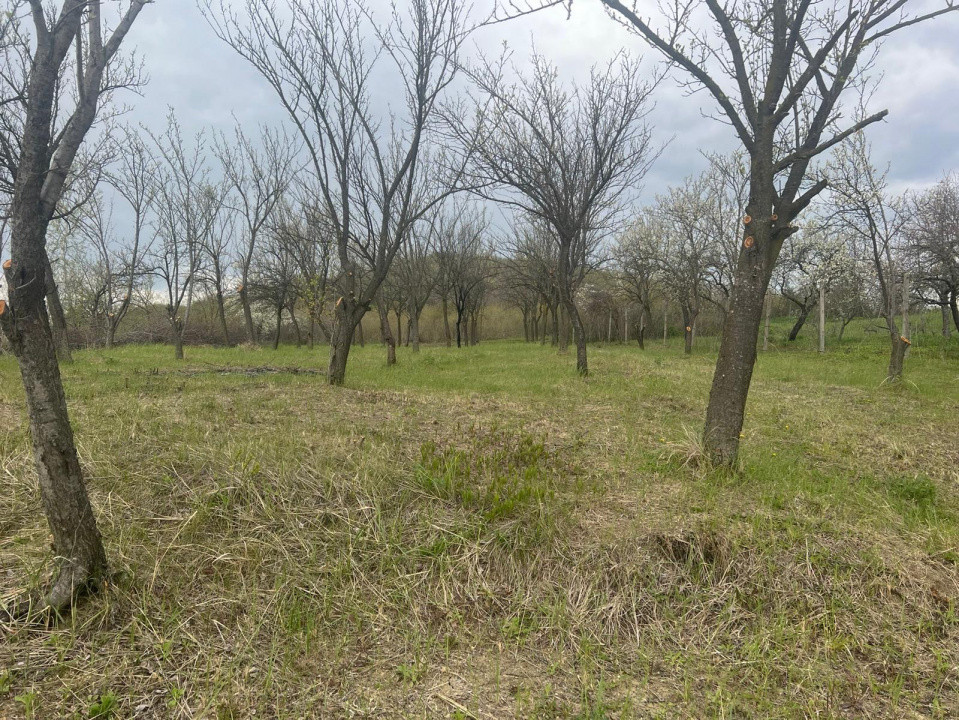 Teren intravilan 2.200 mp cu constructie existenta –Calinesti- Vranesti-Arges!