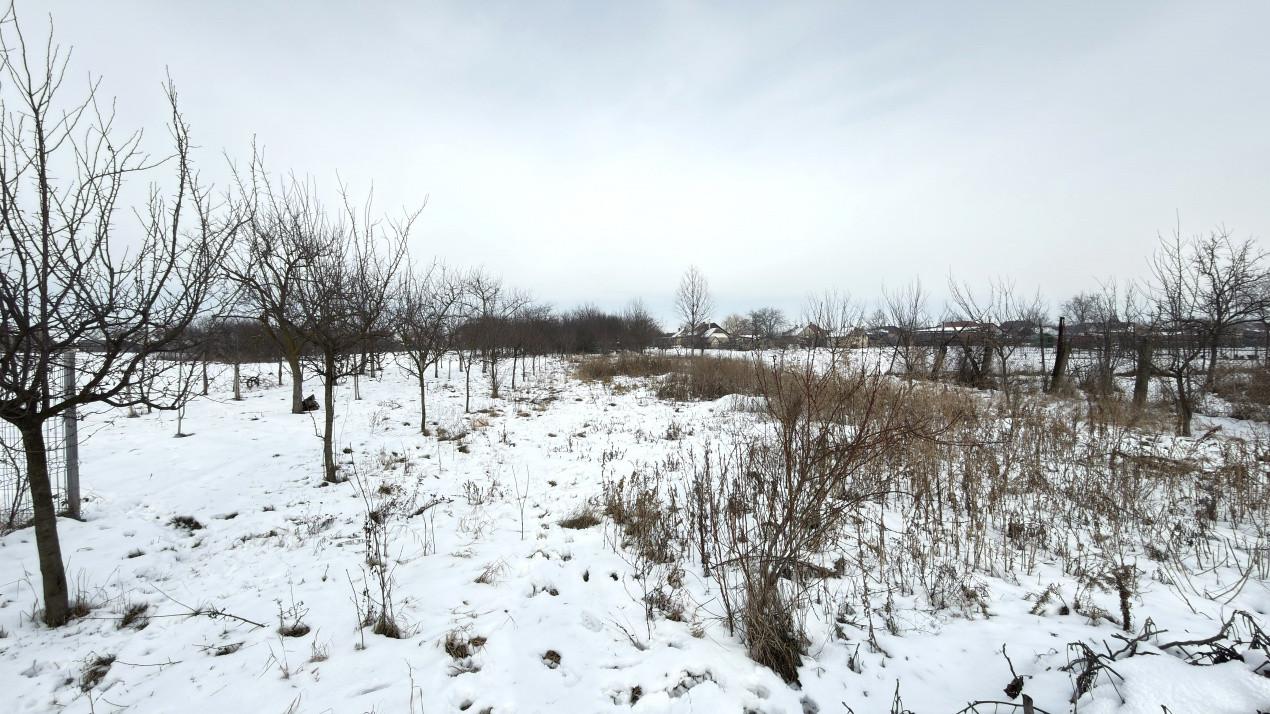 Casă 3 camere, Teren 1.461 mp Loc. Lucăceni Jud. Satu Mare