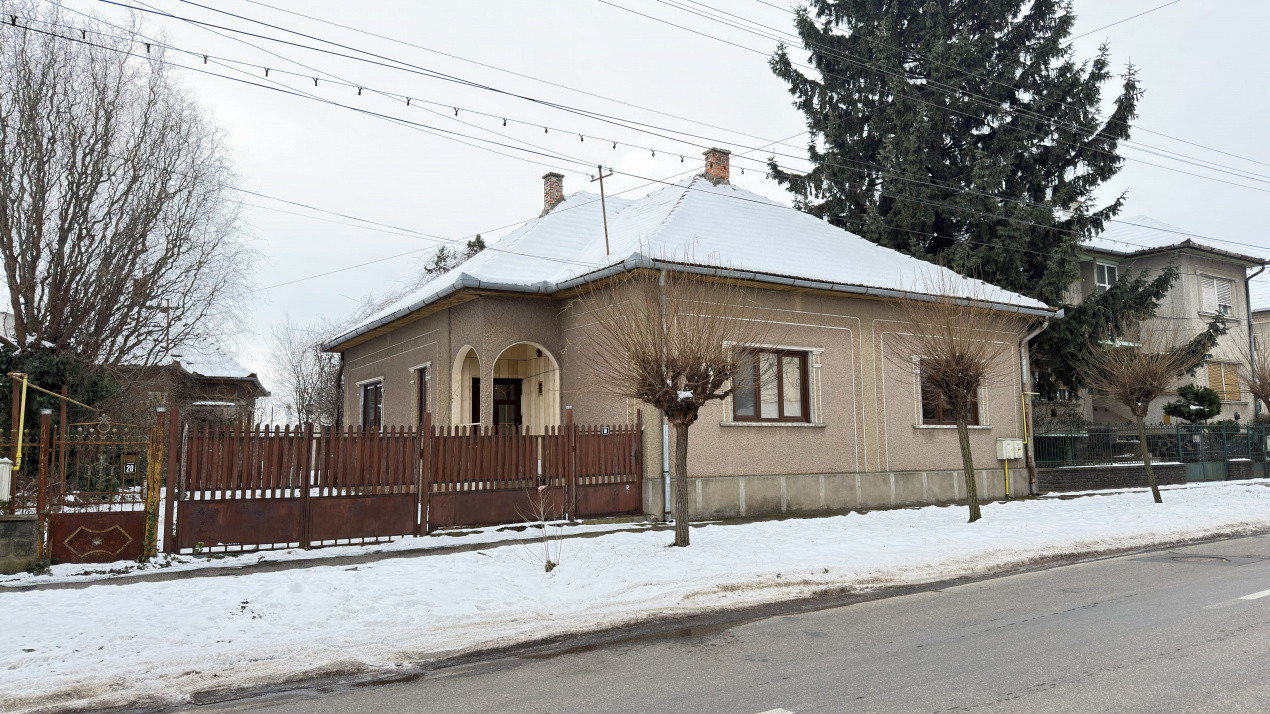 Proprietate cu 2 case | Teren 546 mp | Str. Albinelor Nr.18 - Carei