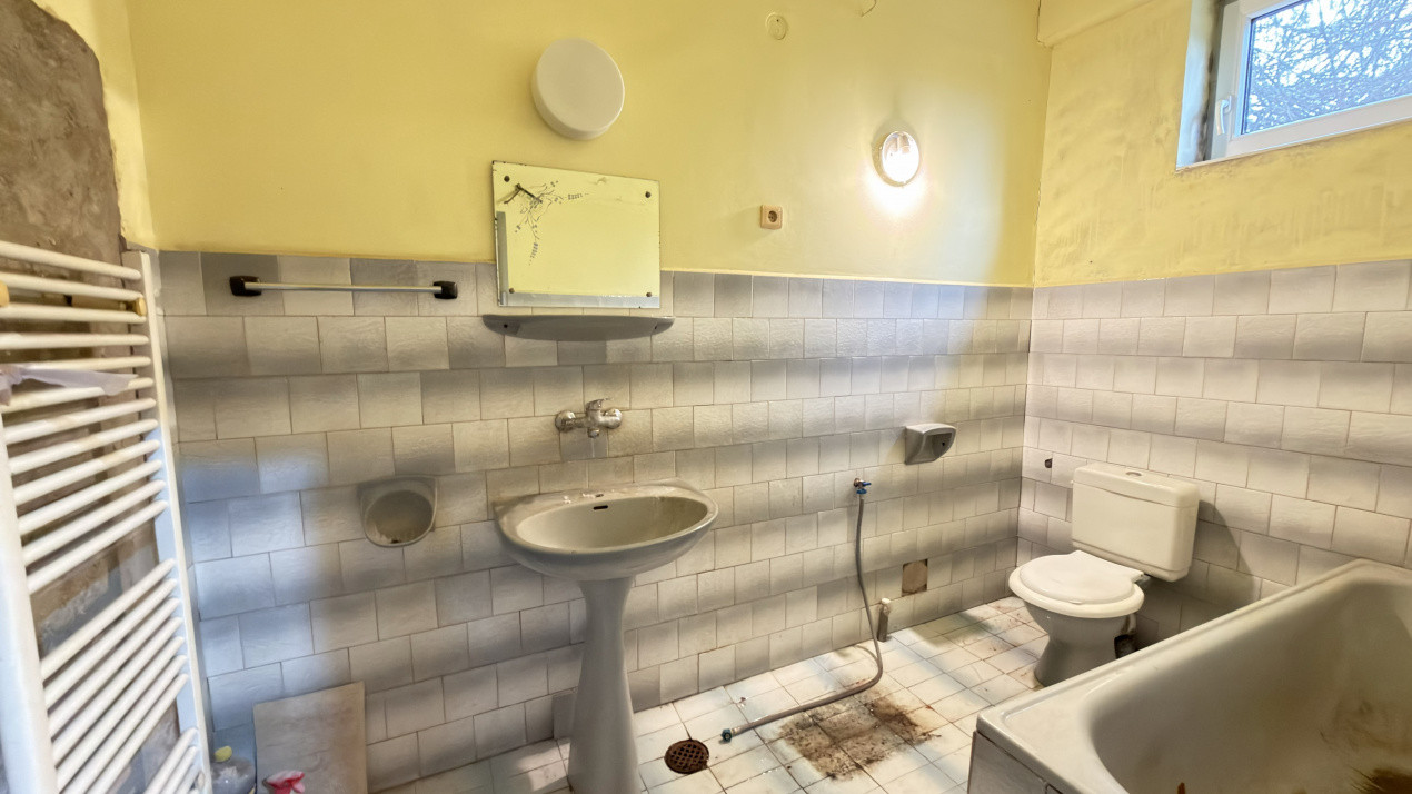 Proprietate cu 2 case | Teren 546 mp | Str. Albinelor Nr.18 - Carei