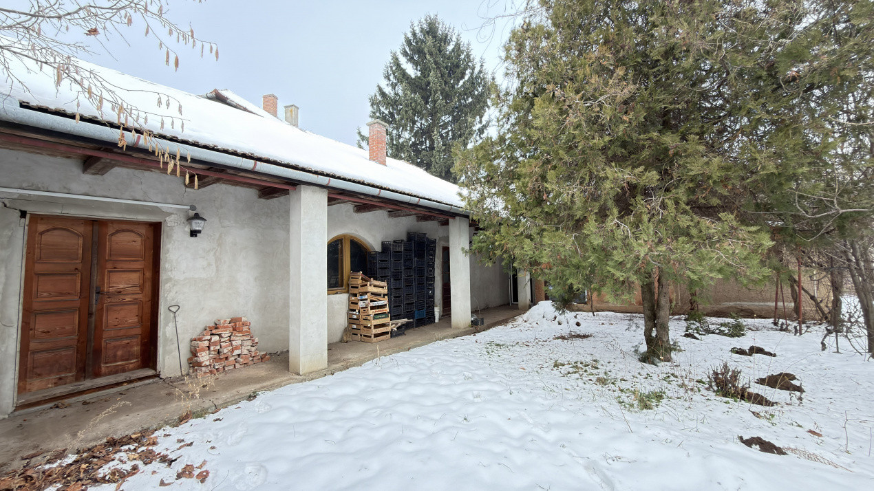 Proprietate cu 2 case | Teren 546 mp | Str. Albinelor Nr.18 - Carei