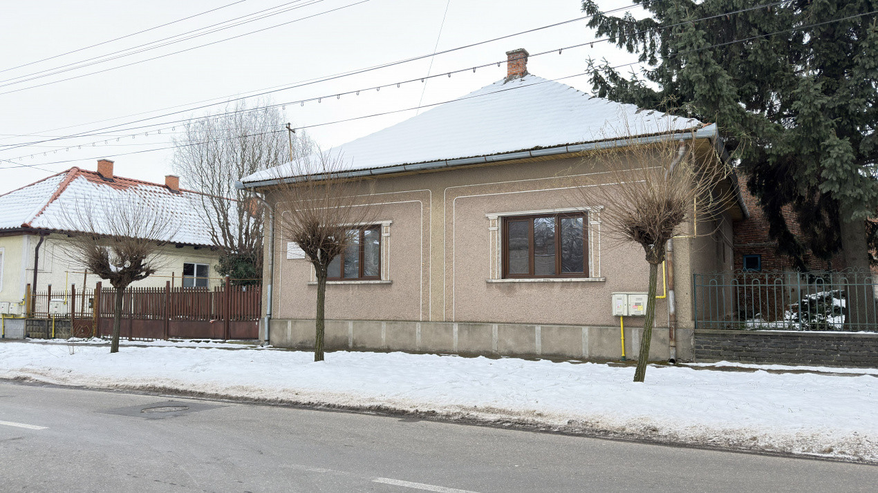 Proprietate cu 2 case | Teren 546 mp | Str. Albinelor Nr.18 - Carei